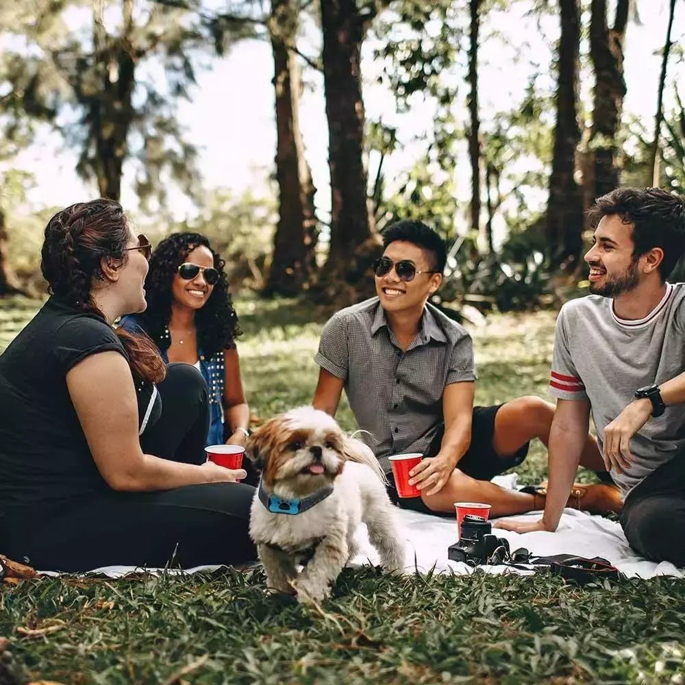 BARKTONE – Anti-Bell-Hundehalsband mit Schallwellentechnologie und verstellbarer Passform 5