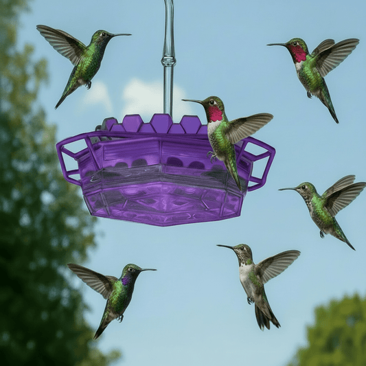 BIRDIBLOOM – Farbenfrohes Hänge-Vogelhaus & wetterfester Kolibri-Futterspender 0