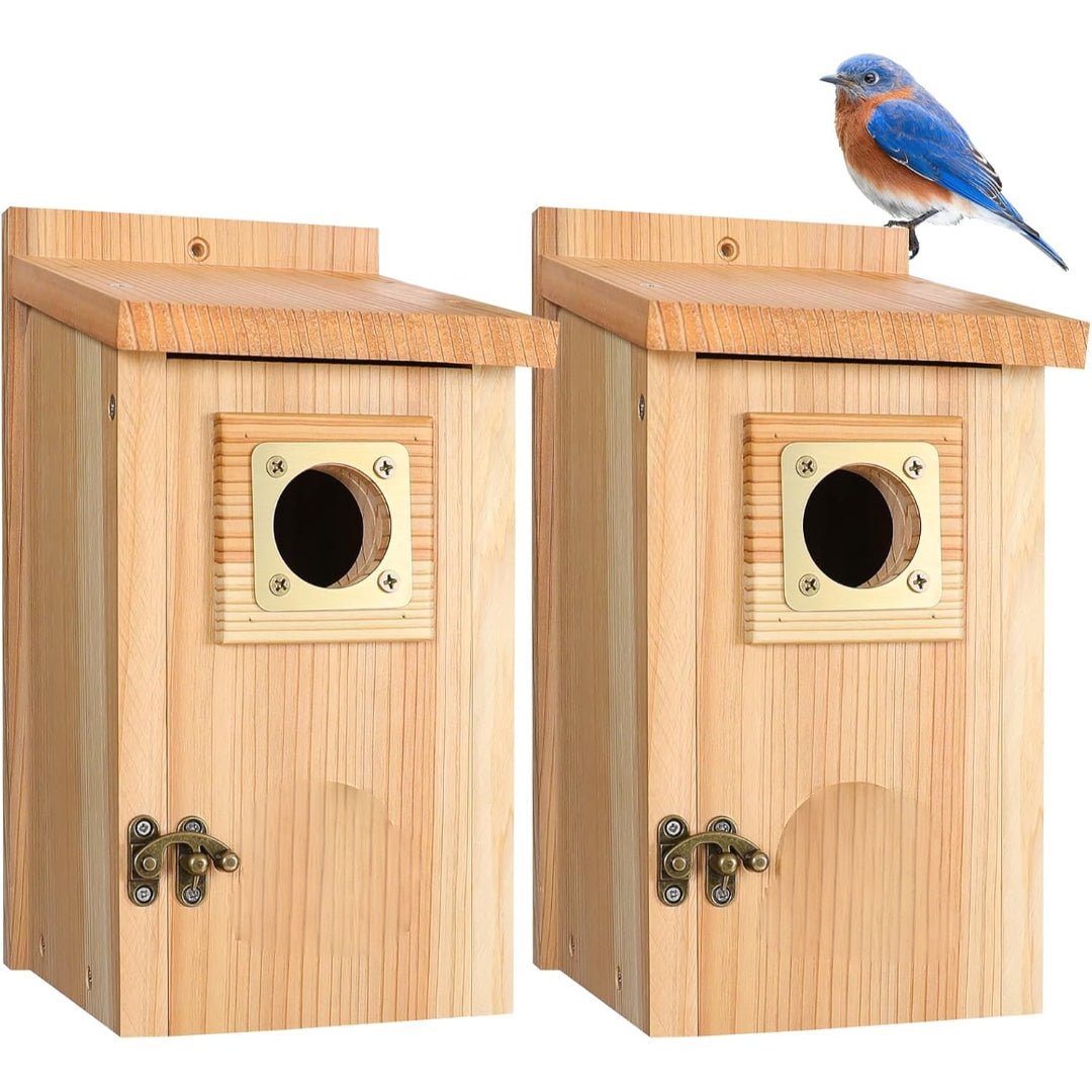 BLUELODGE – Robuster Nistkasten aus Zedernholz für Häher und Schwalbenarten 8
