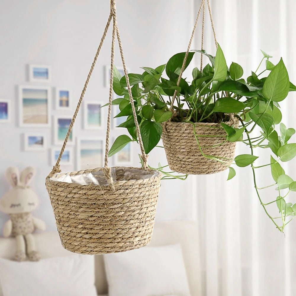 BOTANICA – More rustic, hand-woven Makramee-Hängepflanztopf from Kordel für Orchideen und Zimmerpflanzen 0