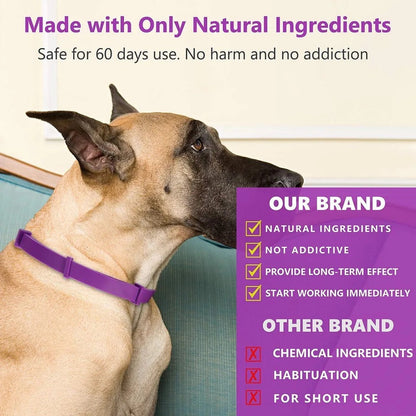 CALMDOG - Calming collar with pheromones for relaxed dogs
