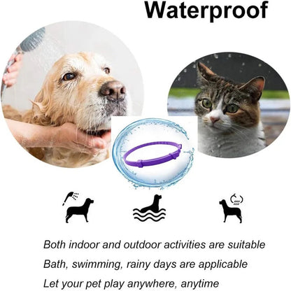CALMDOG - Calming collar with pheromones for relaxed dogs