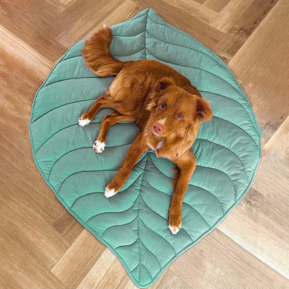 LeafPaws Blanket - Stylish dog blanket in leaf shape with soft padding & versatile use
