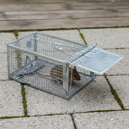 CAPTUREX – Humane Käfigfalle zur Nagetierbekämpfung 0