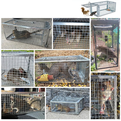 CAPTUREX – Humane Käfigfalle zur Nagetierbekämpfung 2