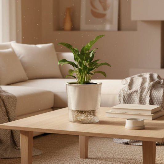 CLEARBLOOM – Selbstbewässernder, transparenter Pflanztopf für Zimmer- und Gartenpflanzen 0