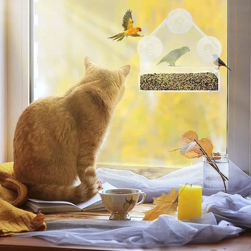 CLEARNEST – Transparenter Fenster-Vogelfutterspender mit Saugnäpfen 1
