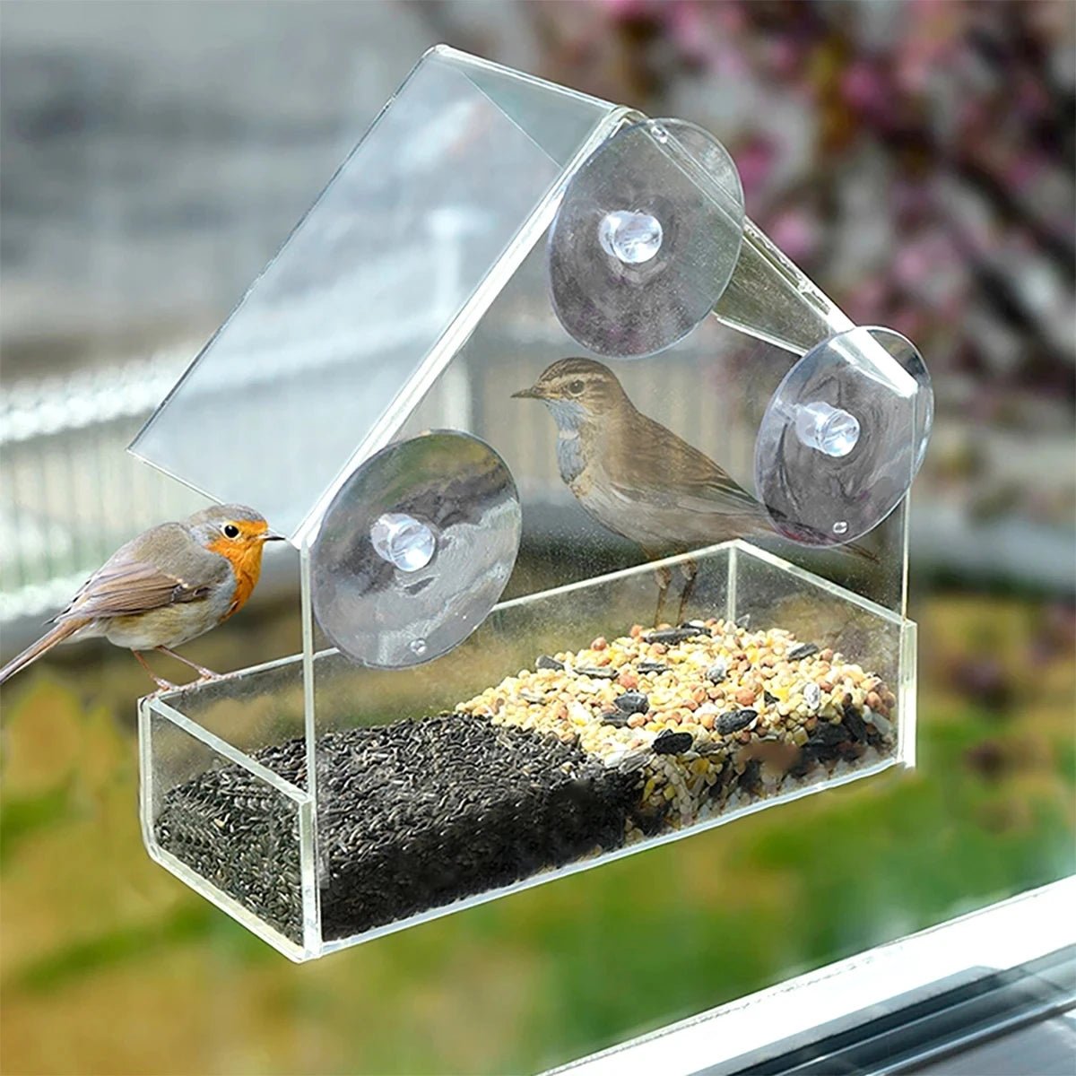 CLEARNEST – Transparenter Fenster-Vogelfutterspender mit Saugnäpfen 4
