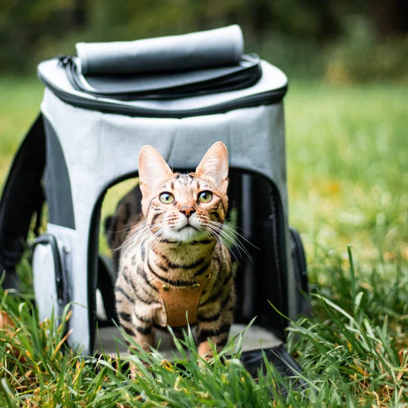 COSMOCAT – Tragbarer Weltraumrucksack für Katzen mit Belüftungsfenster 5
