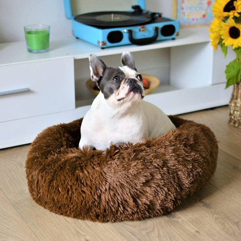 COZYPET – Beruhigendes Hundebett mit plüschigem Kunstfell und abnehmbarem Bezug 1