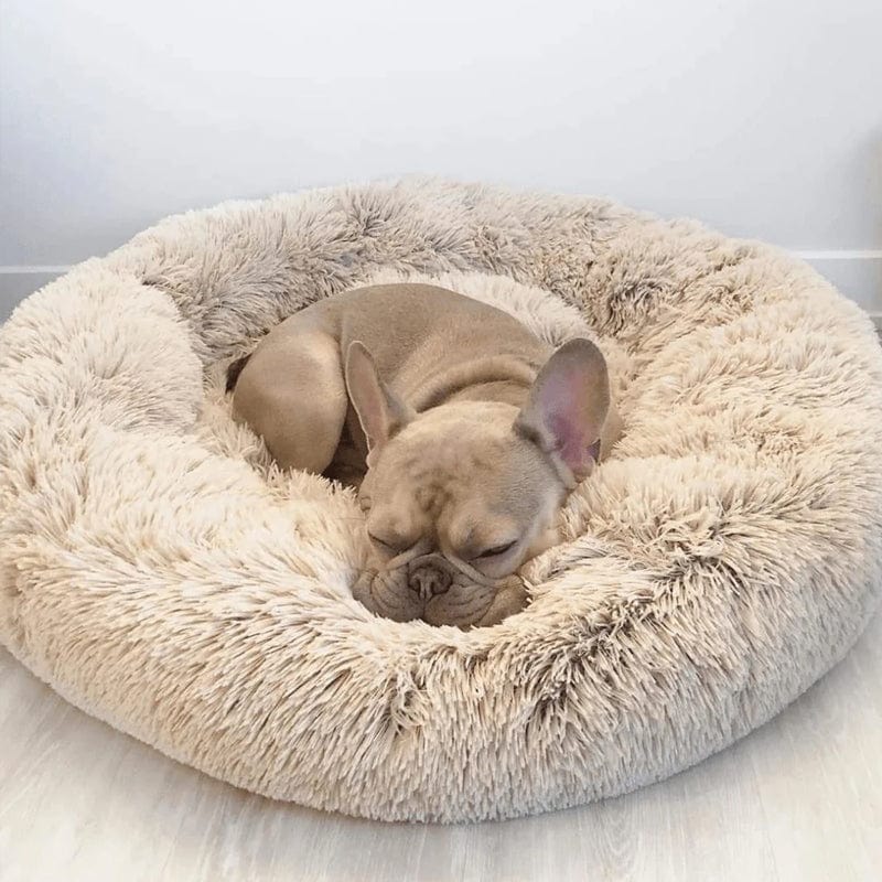COZYPET – Beruhigendes Hundebett mit plüschigem Kunstfell und abnehmbarem Bezug 2