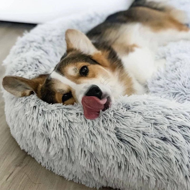 COZYPET – Beruhigendes Hundebett mit plüschigem Kunstfell und abnehmbarem Bezug 3