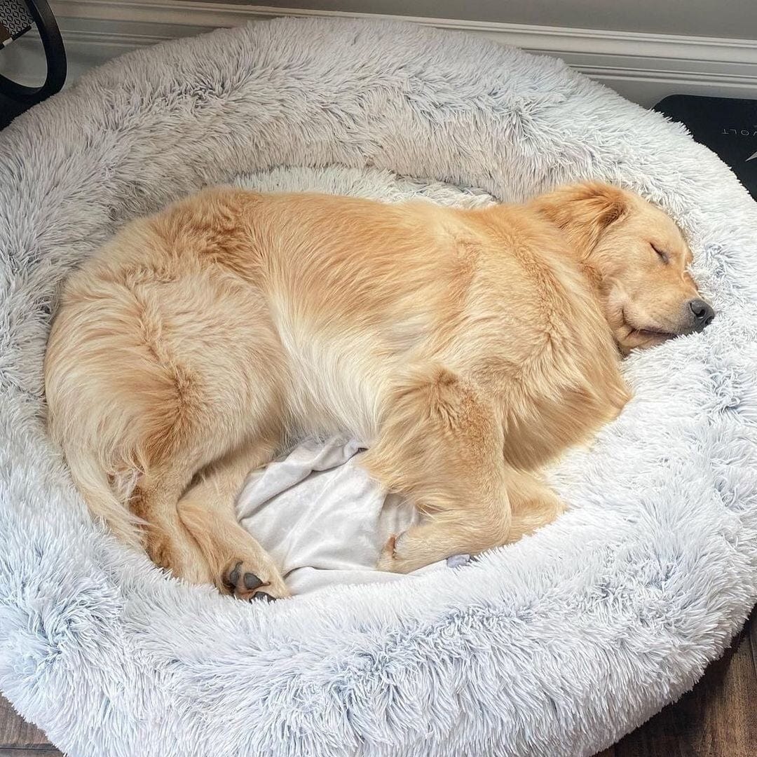 COZYPET – Beruhigendes Hundebett mit plüschigem Kunstfell und abnehmbarem Bezug 4