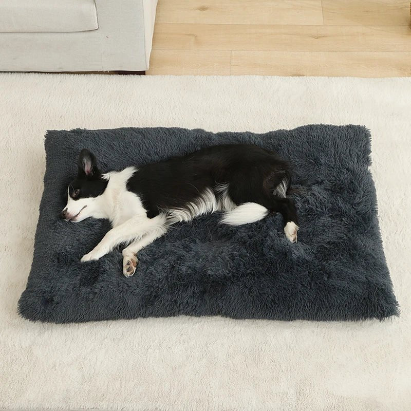 COZYPET – Plüsch-Hundebett & Katzenmatte für ultimativen Komfort 6