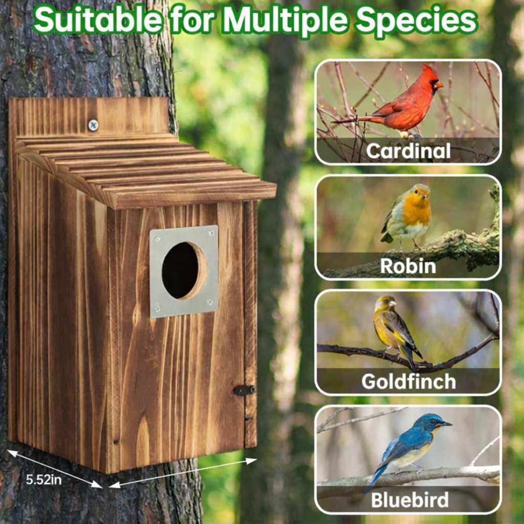 SKYDWELL – Casa nido in legno di cedro per ghiandaie, rondini e uccelli piccoli
