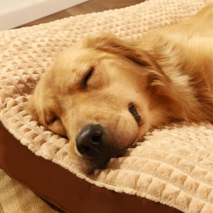 PawRest – Letto ortopedico per cani con supporto e comfort ottimali