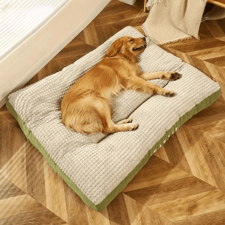 PawRest – Letto ortopedico per cani con supporto e comfort ottimali
