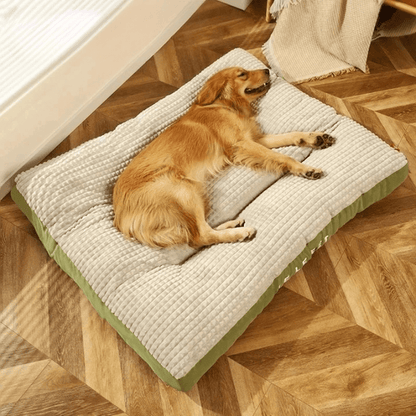 PawRest – Letto ortopedico per cani con supporto e comfort ottimali