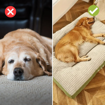 PawRest – Letto ortopedico per cani con supporto e comfort ottimali