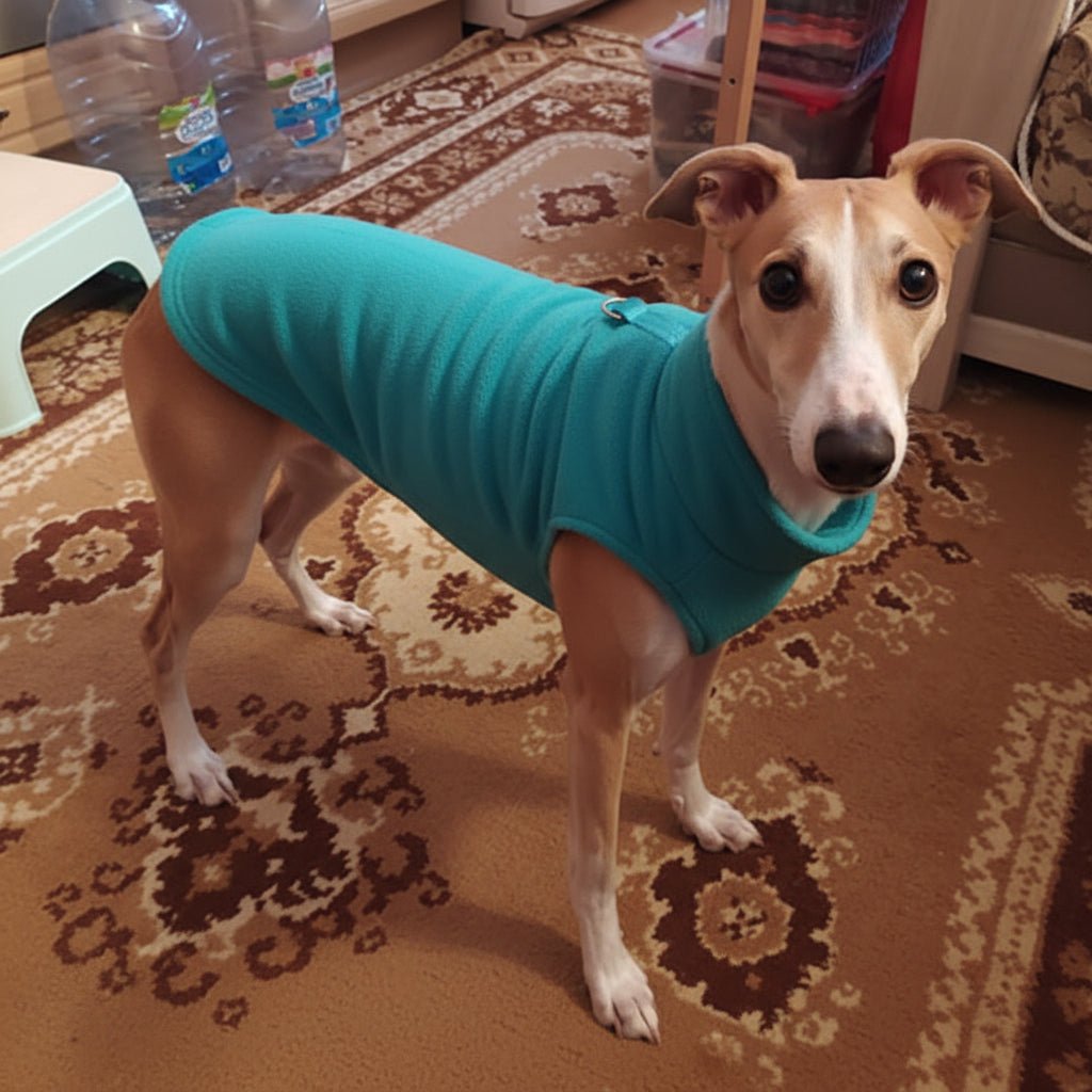 PETSNUG – Chaleco cálido para perro con anilla en D y forro de polar