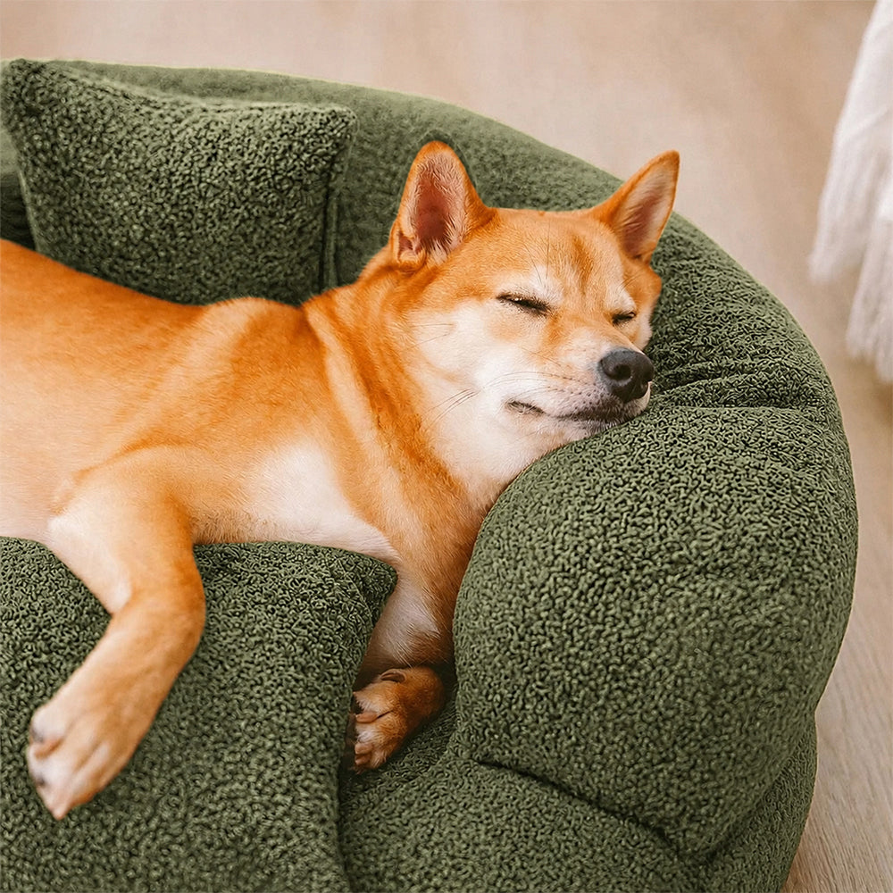 DreamNest - Orthopädisches Hundebett aus Diamant-Samt mit Abnehmbarem Bezug und Rutschfester Unterseite 4