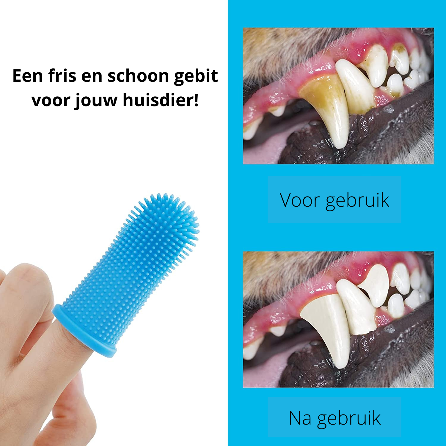 Paw Clean Pro - Safe Dog Dental Care für Zuhause-6
