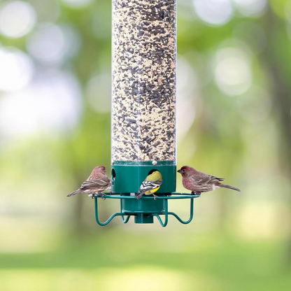 FeederGuard – Eekhoornbestendig vogelhuis met roterende zitstok