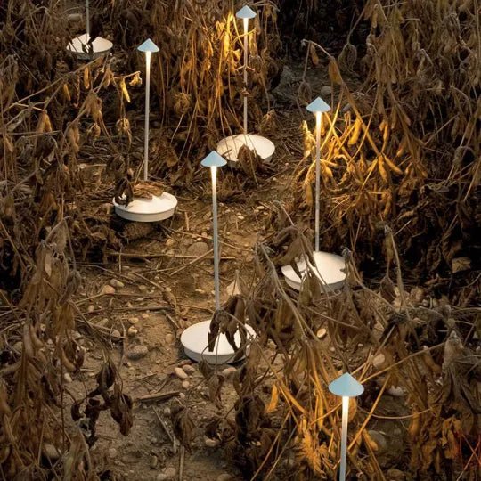 LUXENTA – Energy-efficient LED light for sustainable lighting