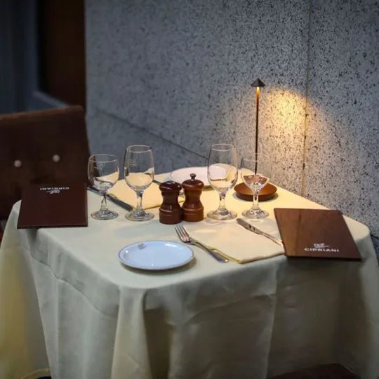 LUXENTA – Energy-efficient LED light for sustainable lighting