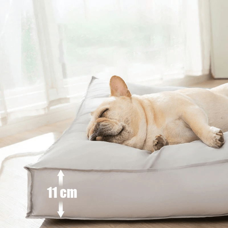 PawComfort – Orthopedic Dog Bed Washable Made of Memory Foam, Waterproof and Scratch-Resistant