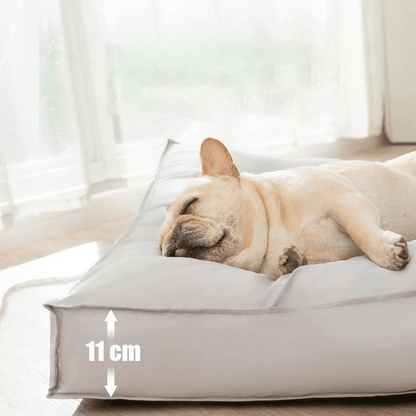 PawComfort – Orthopedic Dog Bed Washable Made of Memory Foam, Waterproof and Scratch-Resistant