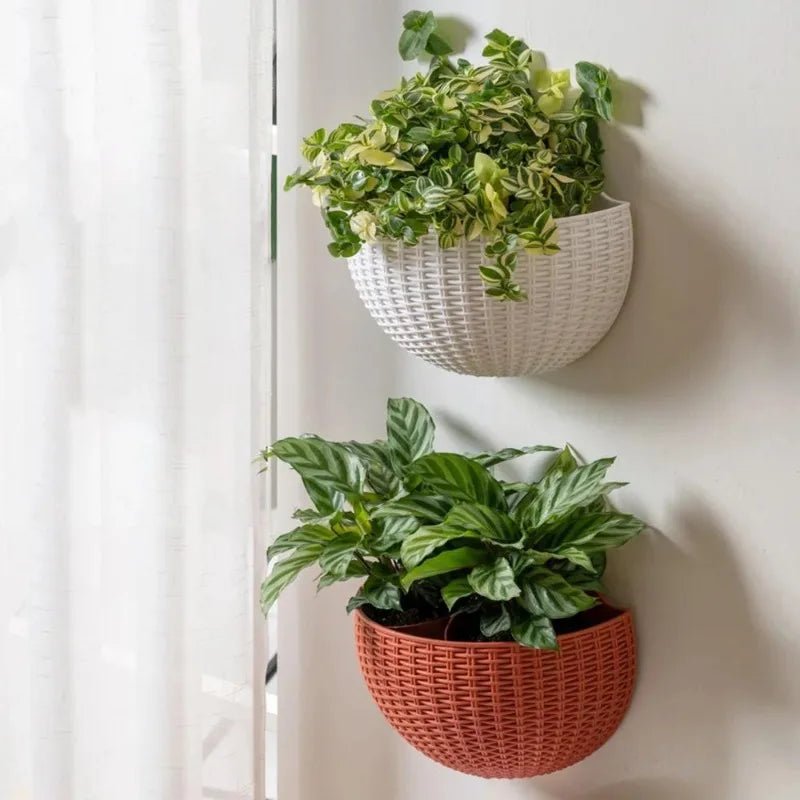 Florava - Wandpflanzgefäß Rattan-Stil mit Intelligentem Wassermanagement, 21x16,5x9,5 cm, 10 Farben 1