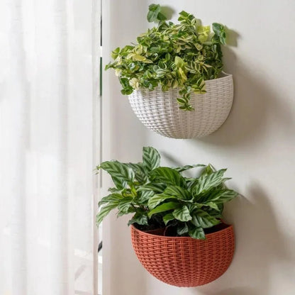 Florava - Wandpflanzgefäß Rattan-Stil mit Intelligentem Wassermanagement, 21x16,5x9,5 cm, 10 Farben 1