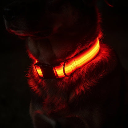 GLOWBITE – Reflektierendes LED-Halsband für Hunde, verstellbar und hell 1