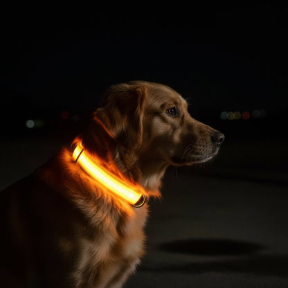 GLOWRUN – LED Safety Dog Collar with Adjustable Fit