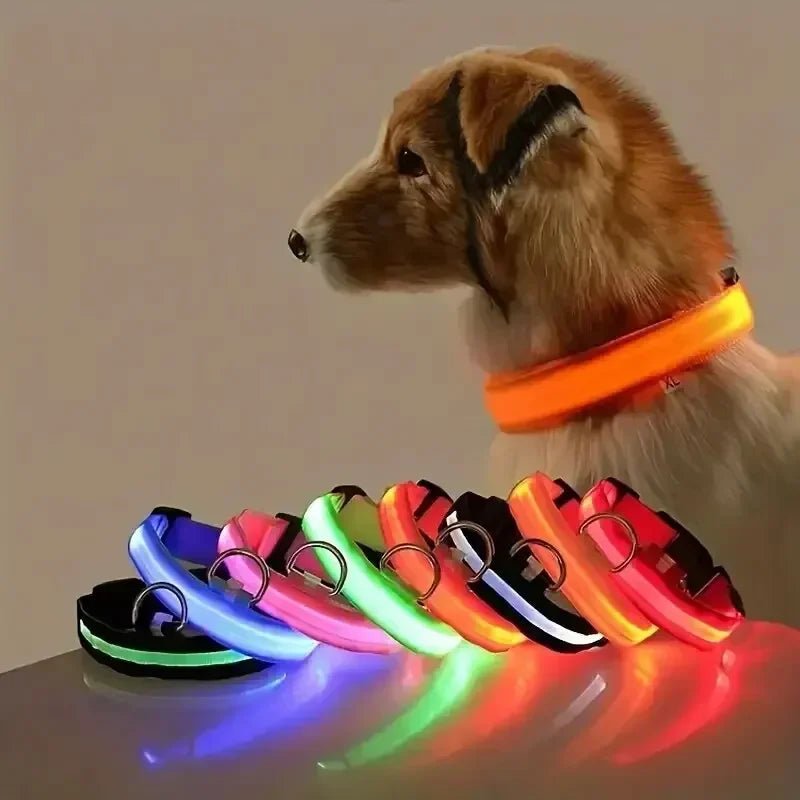 GLOWBITE – Reflektierendes LED-Halsband für Hunde, verstellbar und hell 2