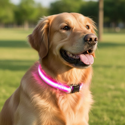 GLOWBITE – Reflektierendes LED-Halsband für Hunde, verstellbar und hell 3
