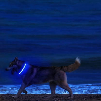 GLOWBITE – Reflektierendes LED-Halsband für Hunde, verstellbar und hell 5