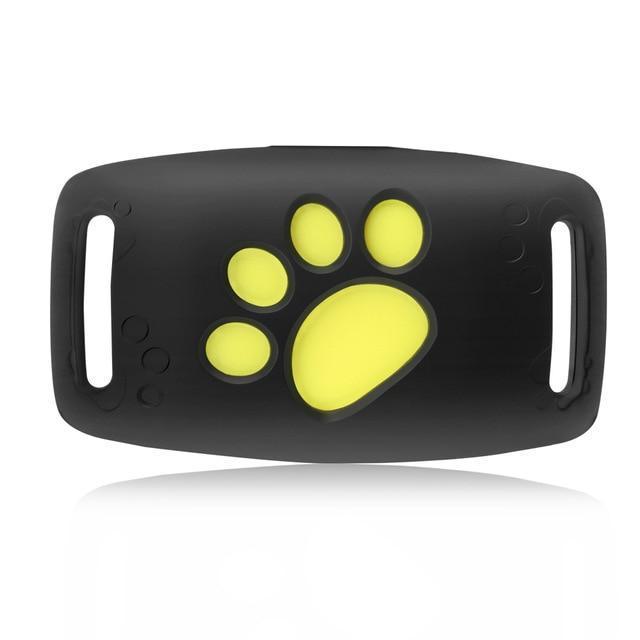 Cat GPS Tracker - real-time tracking without a subscription