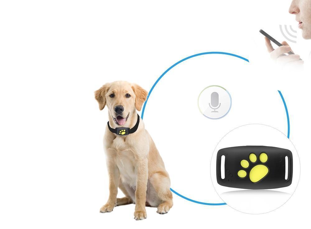 Cat GPS Tracker - real-time tracking without a subscription
