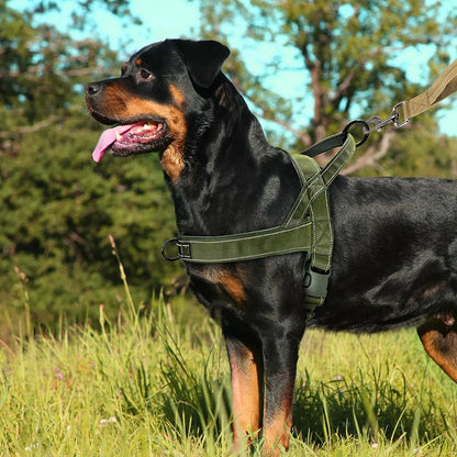 PAWGUARD – Adjustable Reflective Dog Harness with Handle for All Dog Breeds