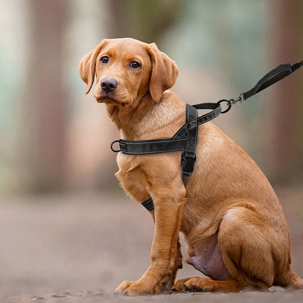 PAWGUARD – Adjustable Reflective Dog Harness with Handle for All Dog Breeds