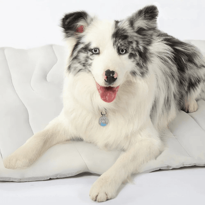CoolPaws alfombrilla refrescante – alfombra autorefrescante para perros para los calurosos días de verano