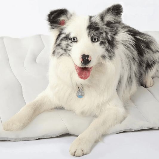 CoolPaws cooling mat - Self-cooling dog rug for hot summer days