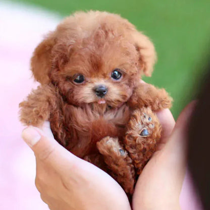 CuddlePup – Chien en peluche interactif avec mouvements réalistes