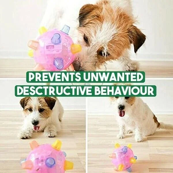FETCHGLOW – Interactive LED Jumping Ball for Dogs