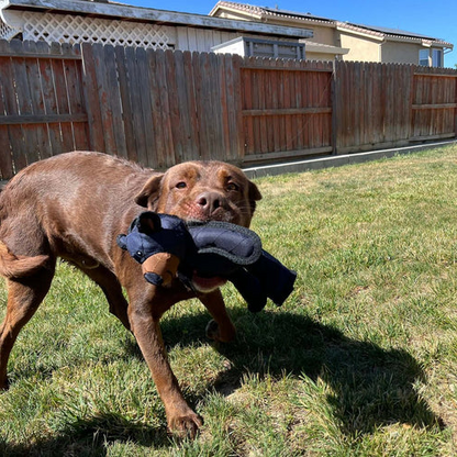 BARKBUDDY – Interactive Dog Toy with Squeaker