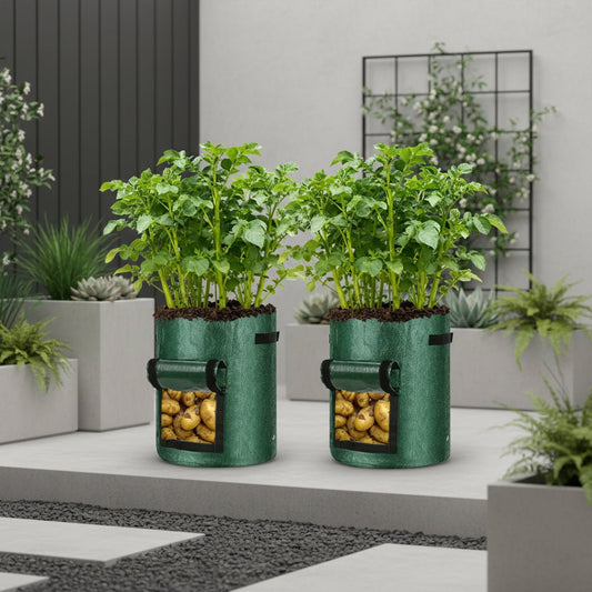 Kartoffel-Pflanzbeutel - 12 Stück PE mit Optimaler Drainage für Gemüseanbau 7