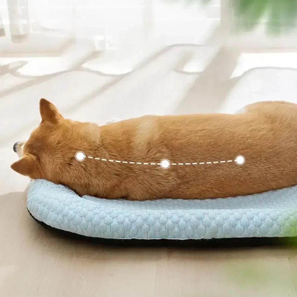 Kühlendes Hundebett Oval – Komfortables Hundekissen für Kleine und Große Hunde 1