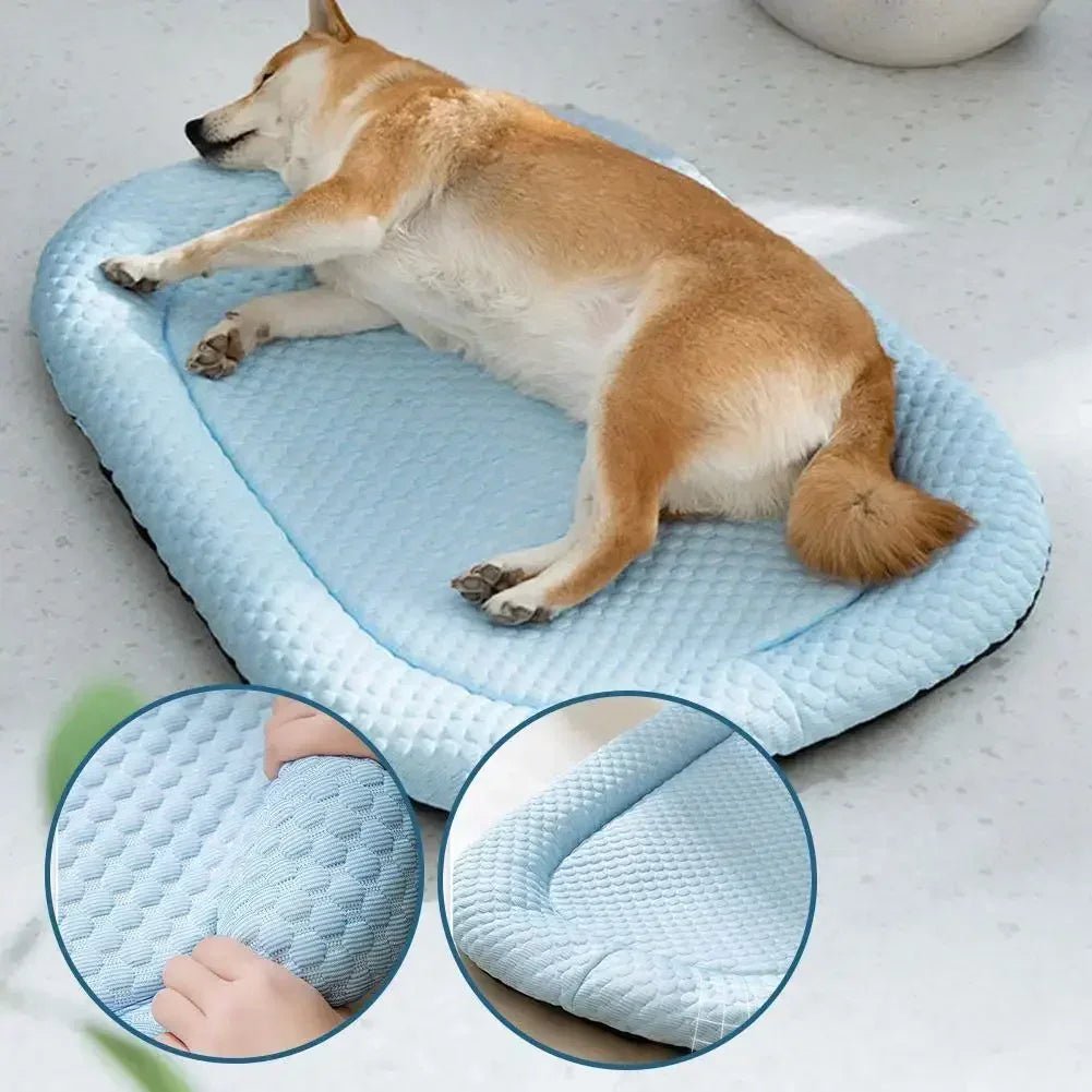 Kühlendes Hundebett Oval – Komfortables Hundekissen für Kleine und Große Hunde 2